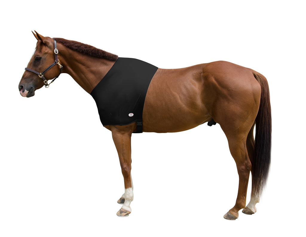 Leg Straps  Horse XL – AniMac