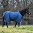 How to Choose the Best Winter Turnout Blankets for Your Horse