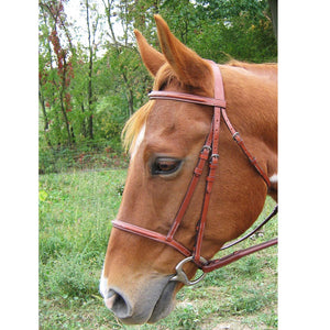 Bridle_Double_FS_Horse