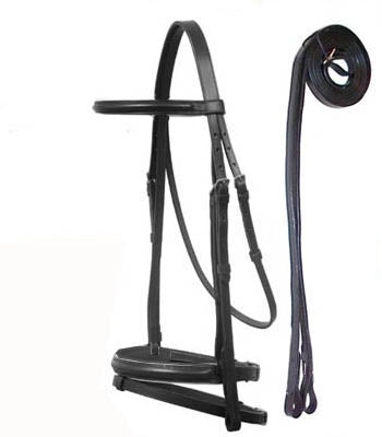 Bridle_Dressage_England_New.v3