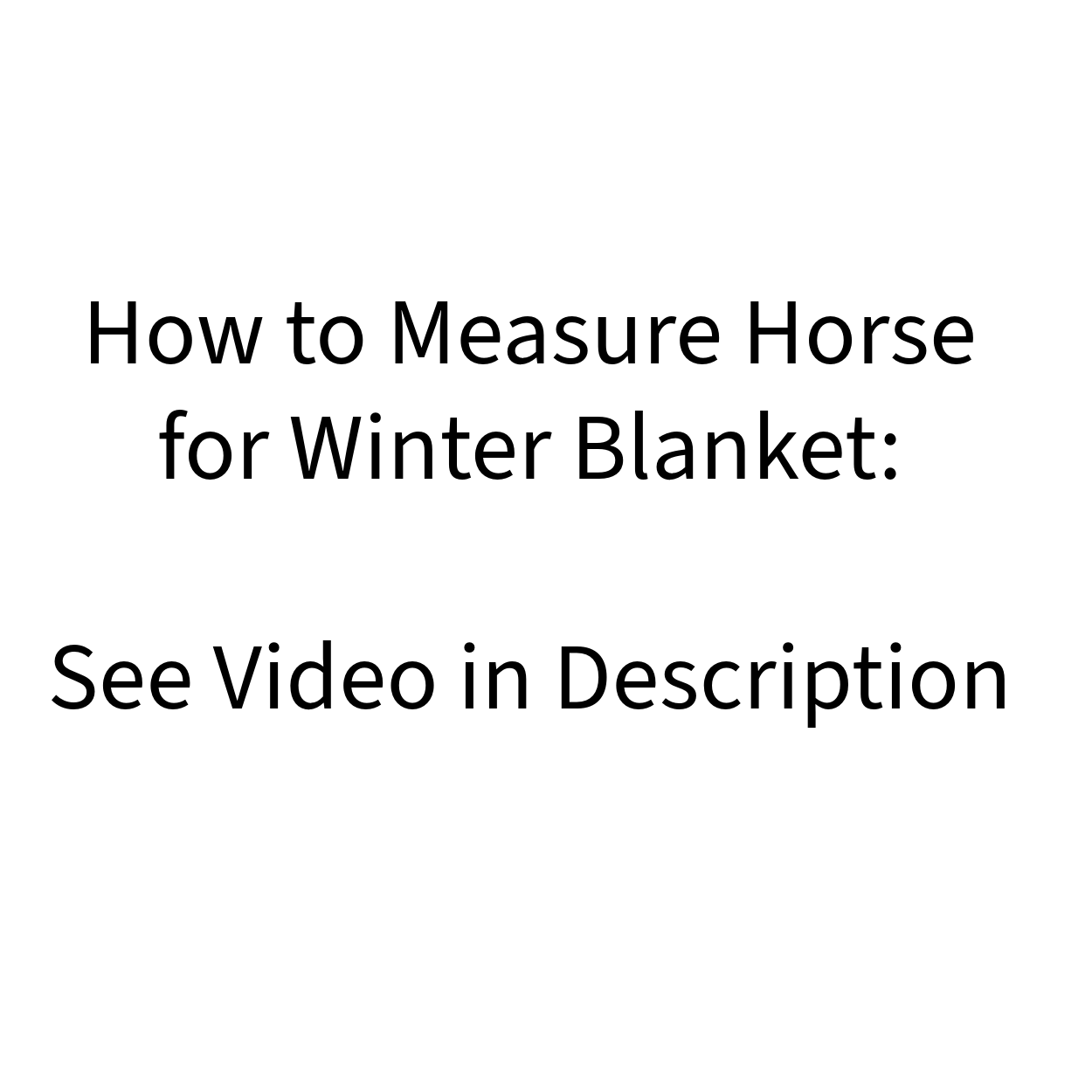 Waterproof Reflective Winter Mini Horse and Pony Turnout Blanket Video