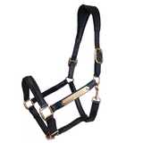 Paris Tack All Sides Padded Super Comfortable Curved Design Horse Leather Halter With Brass Name Plate