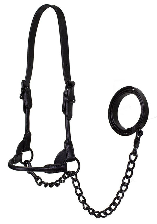 All Black Premium Round Rolled Leather Cattle Show Halter with Chain Lead