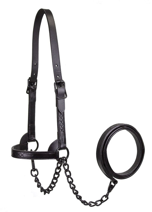 Premium Flat Fancy Stitch Leather Cattle Show Halter with Matching Chain Lead