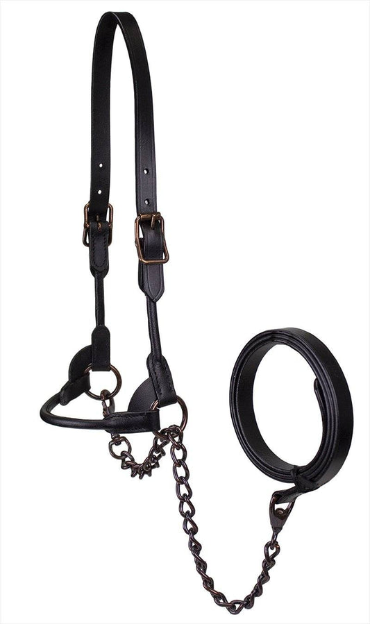 Premium Round Rolled Leather Cattle Show Halter 