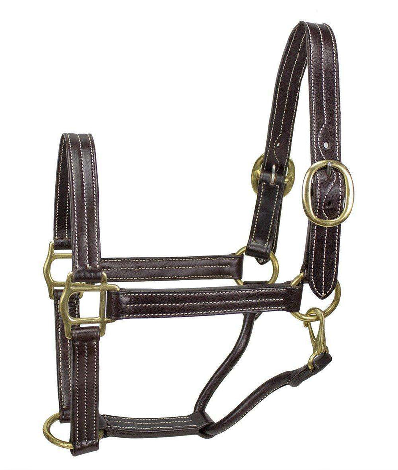 outlet store‎ STG Genuine Leather Horse Adjustable Halter For All Type  Horse Pack Of 5 Halter