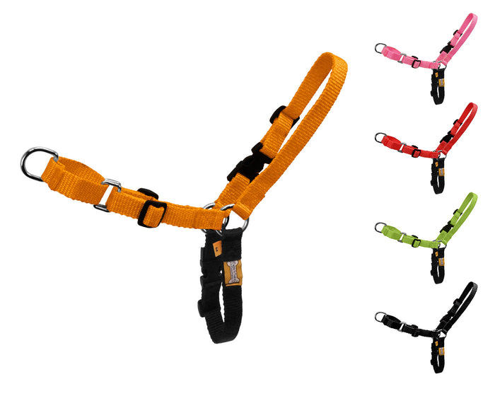Fairwin Dog & Cat Buckle Harness Price in India - Buy Fairwin Dog & Cat  Buckle Harness online at
