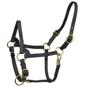 Derby Originals Premium Slimline Flex-Webb Miniature Horse Halters