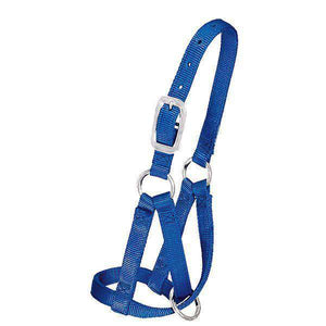 Weaver Leather Nylon Llama Halter